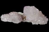 Cactus Quartz (Amethyst) Crystal Cluster - South Africa #132494-1